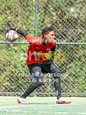 Detalhes da foto #30250