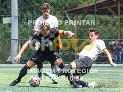 Detalhes da foto #64055