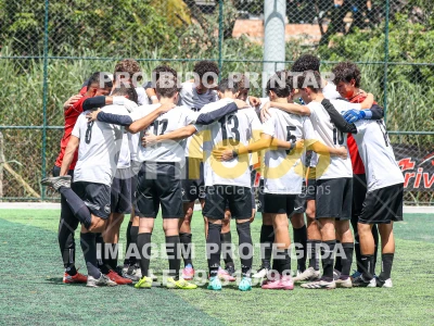 Detalhes da foto #34746