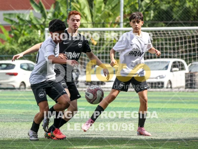 Detalhes da foto #11114