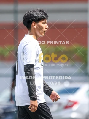 Detalhes da foto #48069