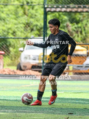 Detalhes da foto #35567