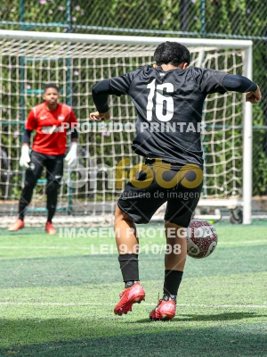 Detalhes da foto #83946