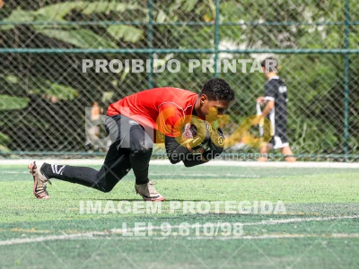 Detalhes da foto #48526