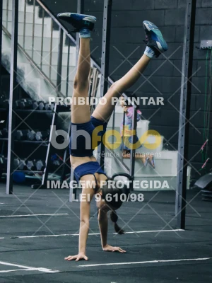 Detalhes da foto #5278256