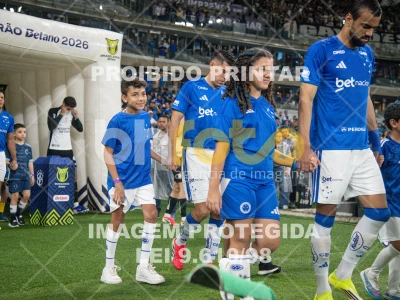 Detalhes da foto #76499