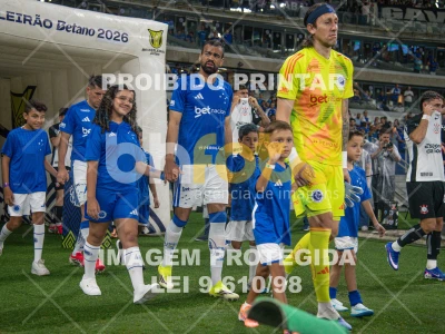 Detalhes da foto #99733