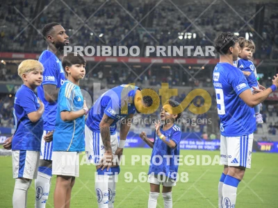 Detalhes da foto #66766