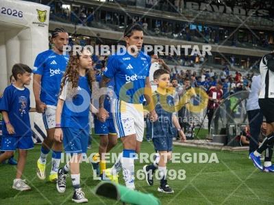 Detalhes da foto #21105