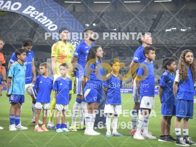 Detalhes da foto #10240