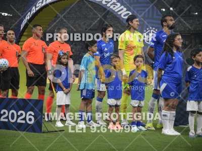 Detalhes da foto #85742