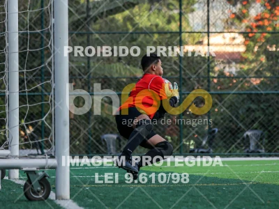 Detalhes da foto #84770