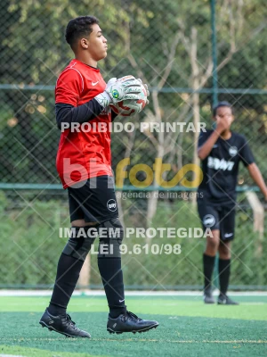 Detalhes da foto #18719