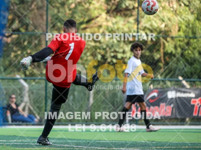 Detalhes da foto #87629
