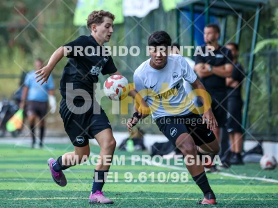 Falcons X Lions - Brave League