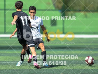 Detalhes da foto #8412805