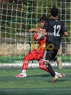 Detalhes da foto #3427858