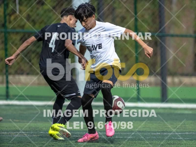 Detalhes da foto #8662640