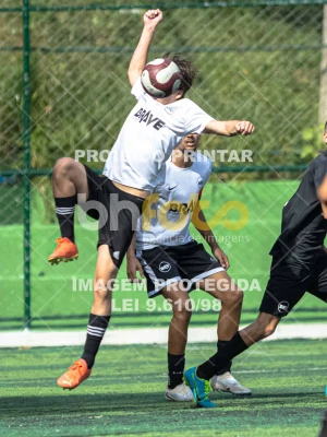 Detalhes da foto #2533042
