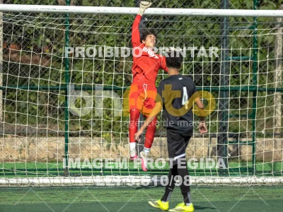 Detalhes da foto #8645558