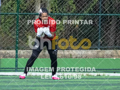 Detalhes da foto #8294864