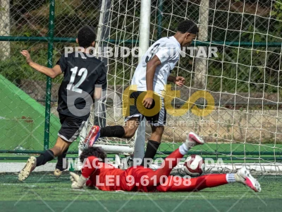 Detalhes da foto #7253550