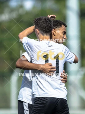 Detalhes da foto #3583433