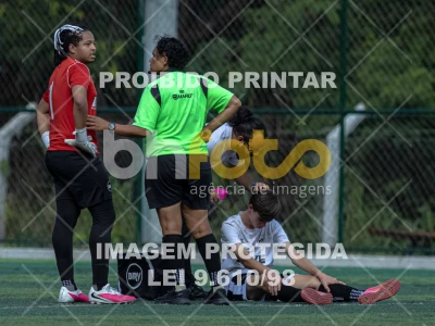 Detalhes da foto #4324229