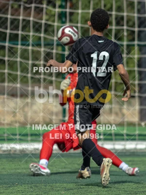 Detalhes da foto #1105676
