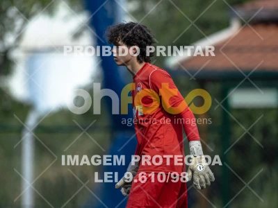 Detalhes da foto #7664084