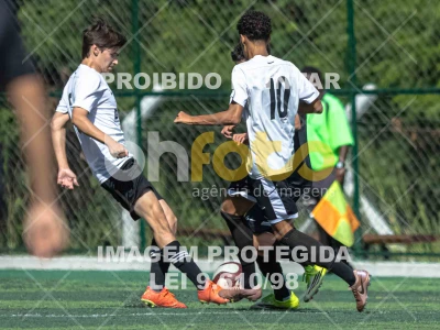 Detalhes da foto #1753059