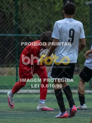 Detalhes da foto #8452229