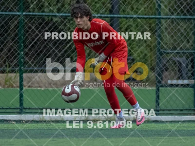 Detalhes da foto #4369281