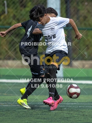 Detalhes da foto #8735043