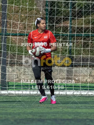 Detalhes da foto #6907499