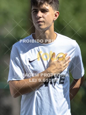 Detalhes da foto #8692322