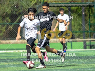 Detalhes da foto #7660885