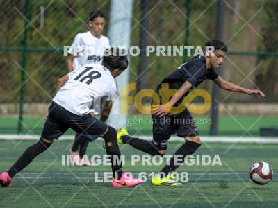 Detalhes da foto #8051333