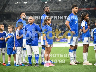 Detalhes da foto #88045