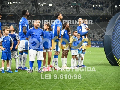 Detalhes da foto #12384