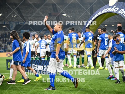 Detalhes da foto #10929