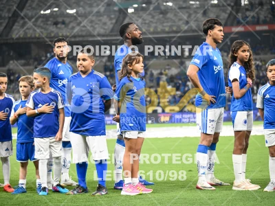 Detalhes da foto #11045