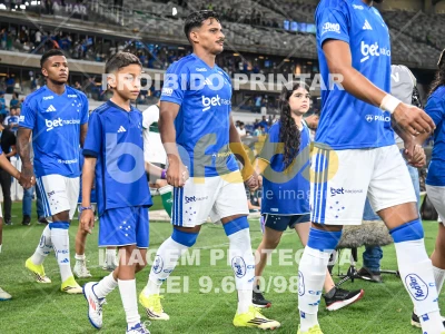 Detalhes da foto #22518