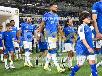 Detalhes da foto #85933