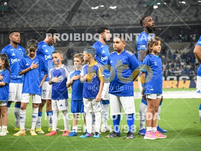 Detalhes da foto #84380