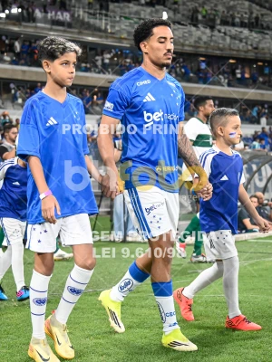 Detalhes da foto #20305