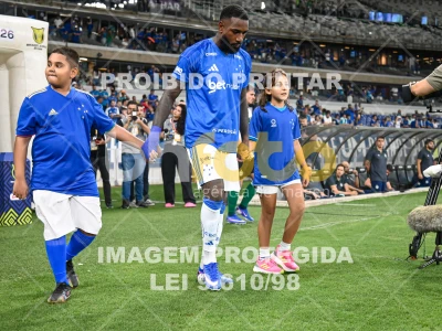 Detalhes da foto #10710