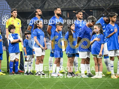 Detalhes da foto #44612