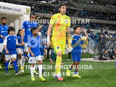 Detalhes da foto #18812