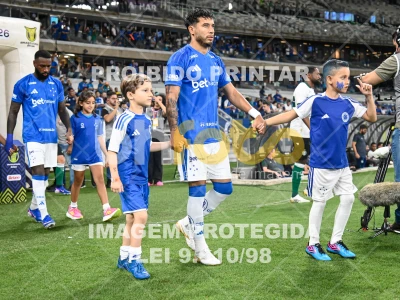 Detalhes da foto #30207